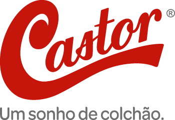 logo_castor